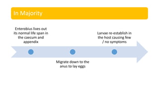 In Majority
Enterobius lives out
its normal life span in
the caecum and
appendix
Migrate down to the
anus to lay eggs
Larvae re-establish in
the host causing few
/ no symptoms
 