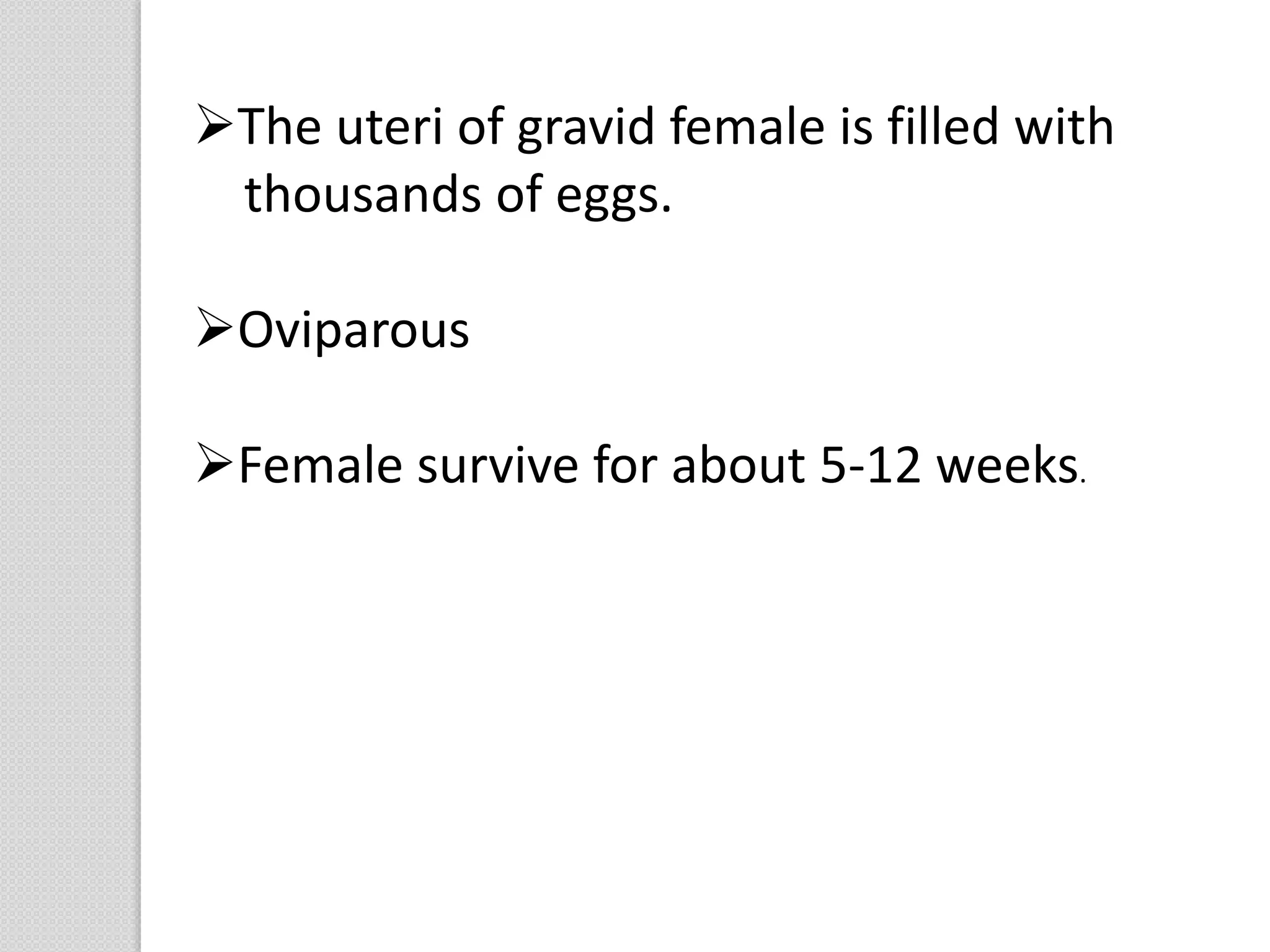 The uteri of gravid female is filled with
thousands of eggs.
Oviparous
Female survive for about 5-12 weeks.
 