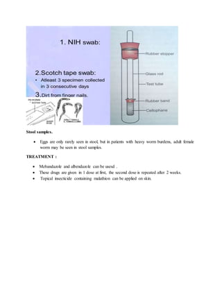 Stool samples.
 Eggs are only rarely seen in stool, but in patients with heavy worm burdens, adult female
worm may be seen in stool samples.
TREATMENT :
 Mebandazole and albendazole can be usesd .
 These drugs are given in 1 dose at first, the second dose is repeated after 2 weeks.
 Topical insecticide containing malathion can be applied on skin.
 