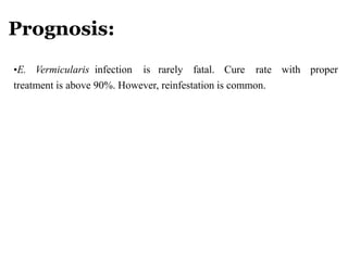 Prognosis:
•E. Vermicularis infection is rarely fatal. Cure rate with proper
treatment is above 90%. However, reinfestation is common.