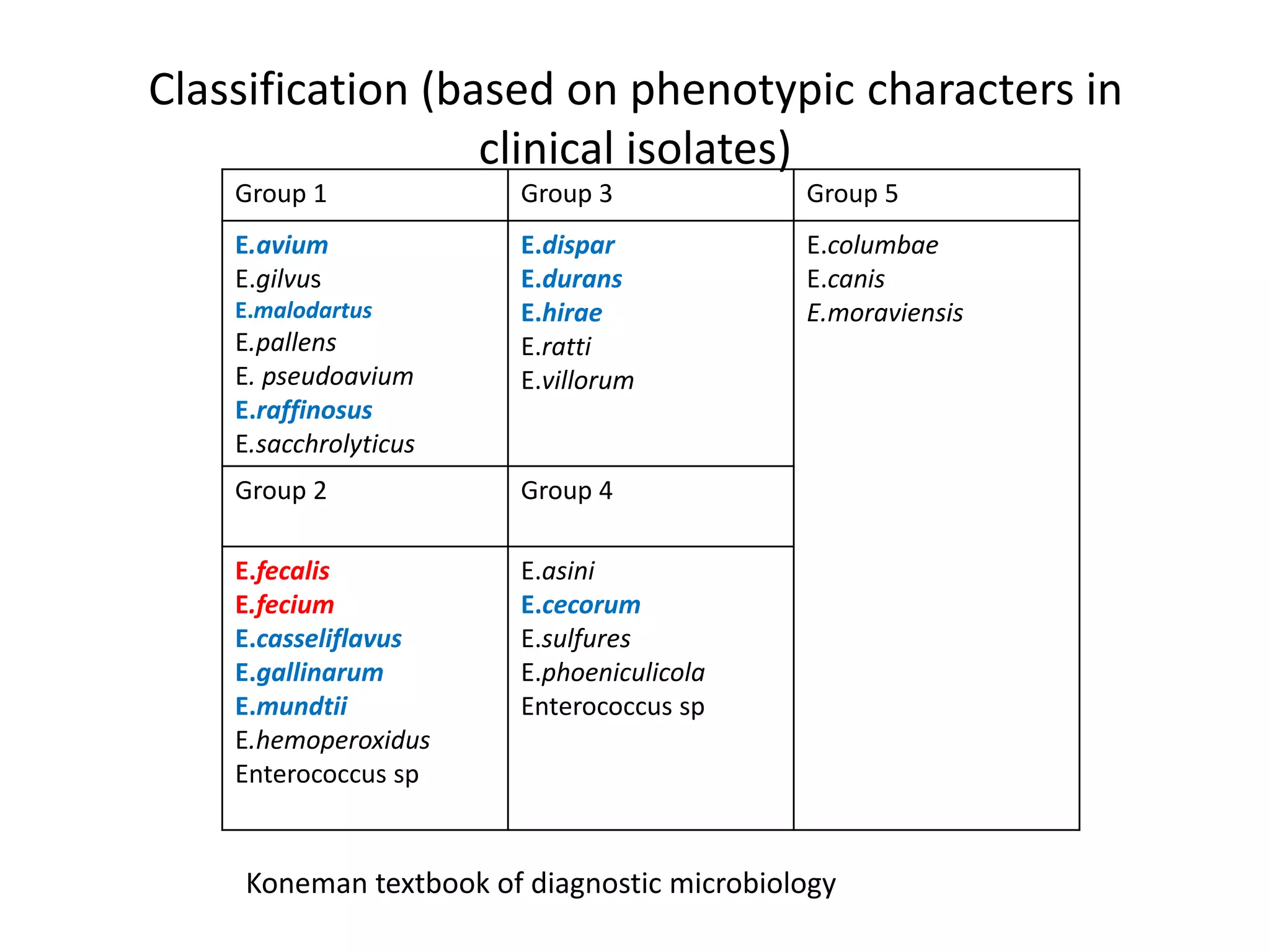 Classification (based on phenotypic characters in
                  clinical isolates)
    Group 1             Group 3             Group 5
    E.avium             E.dispar            E.columbae
    E.gilvus            E.durans            E.canis
    E.malodartus        E.hirae             E.moraviensis
    E.pallens           E.ratti
    E. pseudoavium      E.villorum
    E.raffinosus
    E.sacchrolyticus
    Group 2             Group 4

    E.fecalis           E.asini
    E.fecium            E.cecorum
    E.casseliflavus     E.sulfures
    E.gallinarum        E.phoeniculicola
    E.mundtii           Enterococcus sp
    E.hemoperoxidus
    Enterococcus sp


    Koneman textbook of diagnostic microbiology
 
