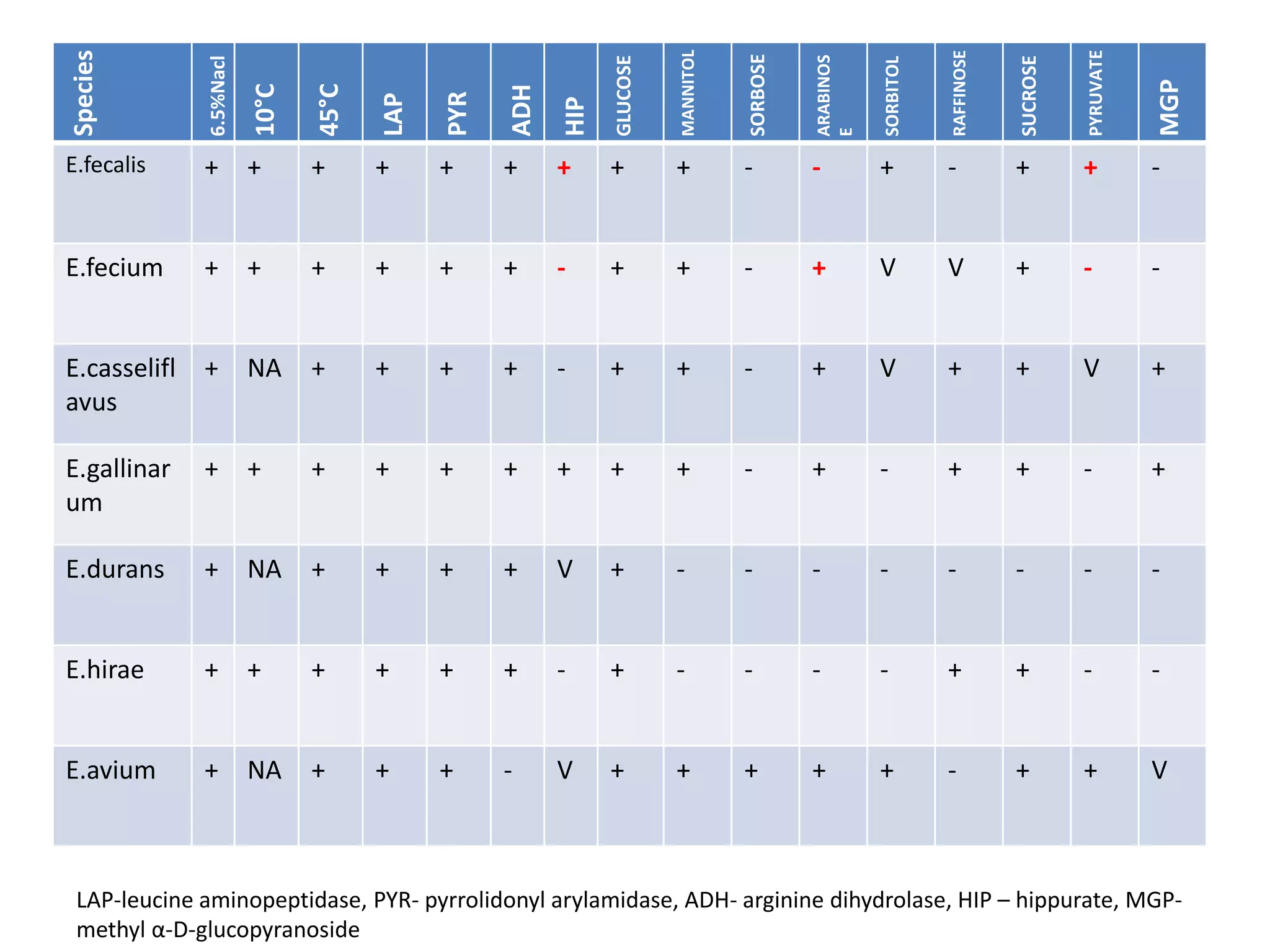 MANNITOL
Species




                                                                                                                                          PYRUVATE
                                                                                                                    RAFFINOSE
                                                                                    SORBOSE


                                                                                              ARABINOS
                                                               GLUCOSE




                                                                                                                                SUCROSE
              6.5%Nacl




                                                                                                         SORBITOL




                                                                                                                                                     MGP
                         10°C

                                45°C




                                                   ADH
                                             PYR
                                       LAP




                                                         HIP




                                                                                              E
E.fecalis     +          +      +      +     +     +     +     +         +          -         -          +          -           +         +          -


E.fecium      +          +      +      +     +     +     -     +         +          -         +          V          V           +         -          -


E.casselifl   +          NA     +      +     +     +     -     +         +          -         +          V          +           +         V          +
avus

E.gallinar    +          +      +      +     +     +     +     +         +          -         +          -          +           +         -          +
um

E.durans      +          NA     +      +     +     +     V     +         -          -         -          -          -           -         -          -


E.hirae       +          +      +      +     +     +     -     +         -          -         -          -          +           +         -          -


E.avium       +          NA     +      +     +     -     V     +         +          +         +          +          -           +         +          V



 LAP-leucine aminopeptidase, PYR- pyrrolidonyl arylamidase, ADH- arginine dihydrolase, HIP – hippurate, MGP-
 methyl α-D-glucopyranoside
 