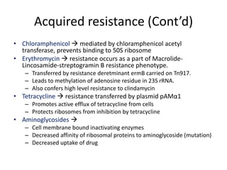 Acquired resistance (Cont’d)
• Chloramphenicol  mediated by chloramphenicol acetyl
  transferase, prevents binding to 50S ribosome
• Erythromycin  resistance occurs as a part of Macrolide-
  Lincosamide-streptogramin B resistance phenotype.
   – Transferred by resistance deretminant ermB carried on Tn917.
   – Leads to methylation of adenosine residue in 23S rRNA.
   – Also confers high level resistance to clindamycin
• Tetracycline  resistance transferred by plasmid pAMα1
   – Promotes active efflux of tetracycline from cells
   – Protects ribosomes from inhibition by tetracycline
• Aminoglycosides 
   – Cell membrane bound inactivating enzymes
   – Decreased affinity of ribosomal proteins to aminoglycoside (mutation)
   – Decreased uptake of drug
 