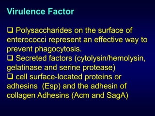 Virulence Factor

 Polysaccharides on the surface of
enterococci represent an effective way to
prevent phagocytosis.
 Secreted factors (cytolysin/hemolysin,
gelatinase and serine protease)
 cell surface-located proteins or
adhesins (Esp) and the adhesin of
collagen Adhesins (Acm and SagA)
 