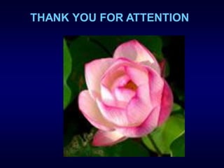THANK YOU FOR ATTENTION
 