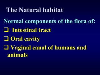 The Natural habitat
Normal components of the flora of:
 Intestinal tract
 Oral cavity
 Vaginal canal of humans and
 animals
 