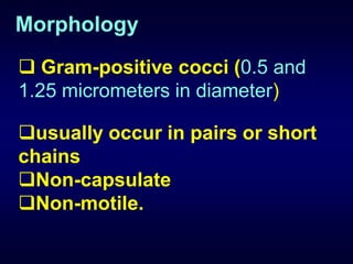 Morphology
 Gram-positive cocci (0.5 and
1.25 micrometers in diameter)

usually occur in pairs or short
chains
Non-capsulate
Non-motile.
 