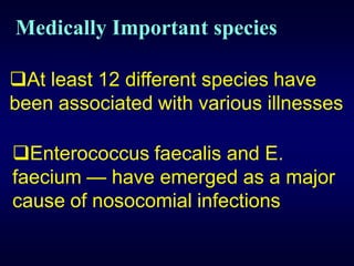 Medically Important species

At least 12 different species have
been associated with various illnesses

Enterococcus faecalis and E.
faecium — have emerged as a major
cause of nosocomial infections
 