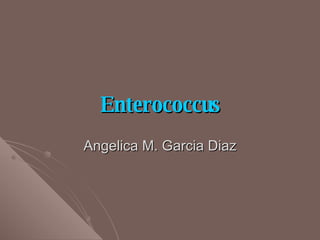 Enterococcus Angelica M. Garcia Diaz 