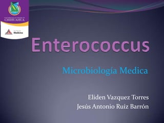 Eliden Vazquez Torres
Jesús Antonio Ruíz Barrón
Microbiología Medica
 