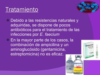 Tratamiento Debido a las resistencias naturales y adquiridas, se dispone de pocos antibióticos para el tratamiento de las infecciones por  E. faecium En la mayor parte de los casos, la combinación de ampicilina y un aminoglucósido (gentamicina, estreptomicina) no es eficaz.  