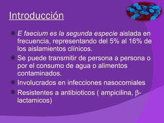Introducción E faecium es la segunda especie  aislada en frecuencia, representando del 5% al 16%  de los aislamientos clínicos. Se puede transmitir de persona a persona o por el consumo de agua o alimentos contaminados. Involucrados en infecciones nasocomiales Resistentes a antibioticos ( ampicilina,   -lactamicos) 