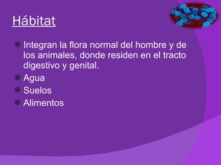 Hábitat Integran la flora normal del hombre y de los animales, donde residen en el tracto digestivo y genital.  Agua Suelos Alimentos 