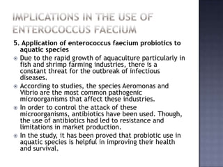 5. Application of enterococcus faecium probiotics to
aquatic species
 Due to the rapid growth of aquaculture particularly in
fish and shrimp farming industries, there is a
constant threat for the outbreak of infectious
diseases.
 According to studies, the species Aeromonas and
Vibrio are the most common pathogenic
microorganisms that affect these industries.
 In order to control the attack of these
microorganisms, antibiotics have been used. Though,
the use of antibiotics had led to resistance and
limitations in market production.
 In the study, it has been proved that probiotic use in
aquatic species is helpful in improving their health
and survival.
 