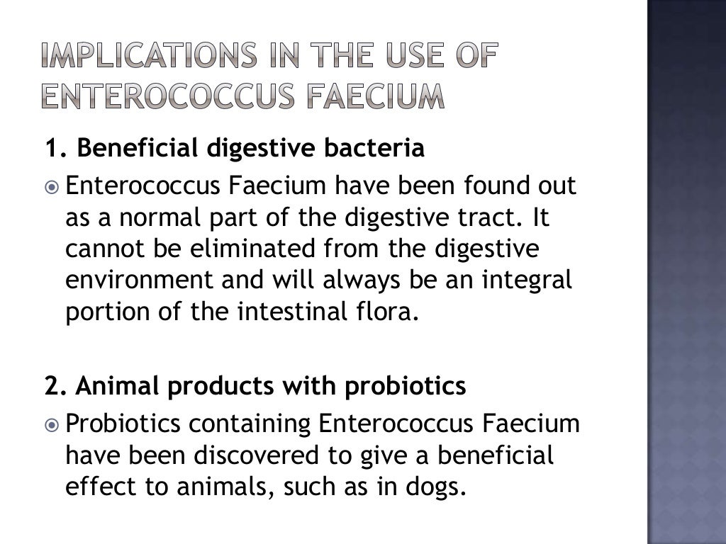 Enterococcus Faecium Probiotic
