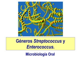 Géneros Streptococcus y
Enterococcus.
Microbiología Oral
 