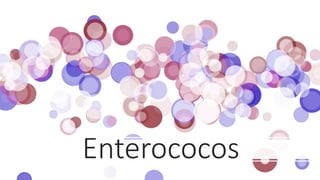 Enterococos
 