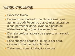 VIBRIO CHOLERAE
 Processo tóxico
 Enterotoxina (Enterotoxina cholera toxin)que
aumenta o AMPc dentro das células, alterando
a sua permeabilidade, levando a perda de
eletrólitos e água (diarréia secretória)
 Diarreia profusa aquosa de aspecto amarelado
ou claro
 Pode chegar a perdas > 1L água por hora,
causando choque hipovolêmico
 Tratamento com hidratação vigorosa
 
