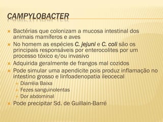 CAMPYLOBACTER
 Bactérias que colonizam a mucosa intestinal dos
animais mamíferos e aves
 No homem as espécies C. jejuni e C. coli são os
principais responsáveis por enterocolites por um
processo tóxico e/ou invasivo
 Adquirida geralmente de frangos mal cozidos
 Pode simular uma apendicite pois produz inflamação no
intestino grosso e linfoadenopatia ileocecal
 Diarréia Baixa
 Fezes sanguinolentas
 Dor abdominal
 Pode precipitar Sd. de Guillain-Barré
 