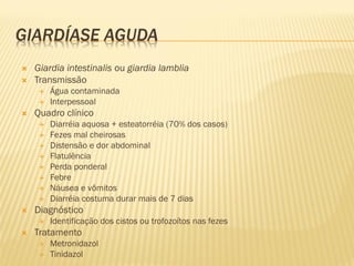 GIARDÍASE AGUDA
 Giardia intestinalis ou giardia lamblia
 Transmissão
 Água contaminada
 Interpessoal
 Quadro clínico
 Diarréia aquosa + esteatorréia (70% dos casos)
 Fezes mal cheirosas
 Distensão e dor abdominal
 Flatulência
 Perda ponderal
 Febre
 Náusea e vômitos
 Diarréia costuma durar mais de 7 dias
 Diagnóstico
 Identificação dos cistos ou trofozoítos nas fezes
 Tratamento
 Metronidazol
 Tinidazol
 