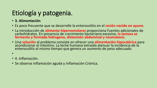 Etiología y patogenia.
• 3. Alimentación.
• Es poco frecuente que se desarrolle la enterocolitis en el recién nacido en ayuno.
• La introducción de alimento hiperosmolares proporciona Fuentes adicionales de
carbohidratos. En presencia de crecimiento bacteriano excesivo, la lactosa se
fermenta y formada hidrogeno, distensión abdominal y neumatosis.
• Una solución al problema consiste en ofrecer una alimentación hipocalórica para
acondicionar el intestino. La leche humana extraída atenuar la incidencia de la
enterocolitis al mismo tiempo que genera un aumento de peso adecuado.
•
• 4. Inflamación.
• Se observa inflamación aguda y inflamación Crónica.
 