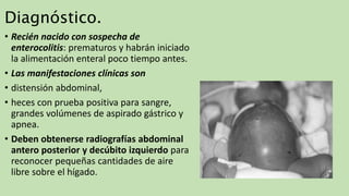 Diagnóstico.
• Recién nacido con sospecha de
enterocolitis: prematuros y habrán iniciado
la alimentación enteral poco tiempo antes.
• Las manifestaciones clínicas son
• distensión abdominal,
• heces con prueba positiva para sangre,
grandes volúmenes de aspirado gástrico y
apnea.
• Deben obtenerse radiografías abdominal
antero posterior y decúbito izquierdo para
reconocer pequeñas cantidades de aire
libre sobre el hígado.
 