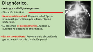 Diagnóstico.
• Hallazgos radiológico sugestivos:
• Dilatación intestinal.
• Neumatosis intestinal: Representa hidrógeno
intramural que se libera por la fermentación
bacteriana.
• Su presencia es patognomónica. Aunque su
ausencia no descarta la enfermedad.
• Gas en la vena Porta: Proviene de la absorción de
gas intramural hacia la circulación portal.
 