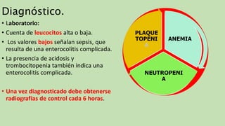 Diagnóstico.
• Laboratorio:
• Cuenta de leucocitos alta o baja.
• Los valores bajos señalan sepsis, que
resulta de una enterocolitis complicada.
• La presencia de acidosis y
trombocitopenia también indica una
enterocolitis complicada.
• Una vez diagnosticado debe obtenerse
radiografías de control cada 6 horas.
 