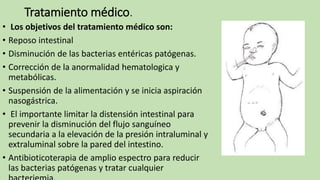Tratamiento médico.
• Los objetivos del tratamiento médico son:
• Reposo intestinal
• Disminución de las bacterias entéricas patógenas.
• Corrección de la anormalidad hematologica y
metabólicas.
• Suspensión de la alimentación y se inicia aspiración
nasogástrica.
• El importante limitar la distensión intestinal para
prevenir la disminución del flujo sanguíneo
secundaria a la elevación de la presión intraluminal y
extraluminal sobre la pared del intestino.
• Antibioticoterapia de amplio espectro para reducir
las bacterias patógenas y tratar cualquier
 