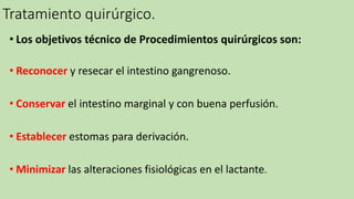 Tratamiento quirúrgico.
• Los objetivos técnico de Procedimientos quirúrgicos son:
• Reconocer y resecar el intestino gangrenoso.
• Conservar el intestino marginal y con buena perfusión.
• Establecer estomas para derivación.
• Minimizar las alteraciones fisiológicas en el lactante.
 
