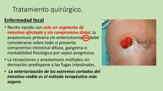 Tratamiento quirúrgico.
Enfermedad focal
• Recién nacido con solo un segmento de
intestino afectado y sin compromiso distal, la
anastomosis primaria sin enterostomia no debe
considerarse sobre todo si presenta
compromiso intestinal difuso, gangrena o
inestabilidad fisiológica por sepsis progresiva.
• La recepciones y anastomosis múltiples sin
derivación predispone a las fugas intestinales.
• La exteriorización de los extremos cortados del
intestino viable es el método terapéutico más
seguro.
 
