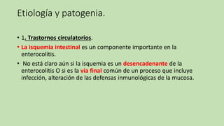 Etiología y patogenia.
• 1. Trastornos circulatorios.
• La isquemia intestinal es un componente importante en la
enterocolitis.
• No está claro aún si la isquemia es un desencadenante de la
enterocolitis O si es la vía final común de un proceso que incluye
infección, alteración de las defensas inmunológicas de la mucosa.
 