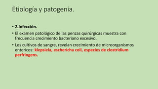 Etiología y patogenia.
• 2.Infección.
• El examen patológico de las penzas quirúrgicas muestra con
frecuencia crecimiento bacteriano excesivo.
• Los cultivos de sangre, revelan crecimiento de microorganismos
entericos: klepsiela, eschericha coli, especies de clostridium
perfringens.
 