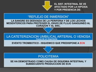 EL SIST. INTESTINAL SE VE
                                      AFECTADO POR LA HIPOXIA
                                      Y POR PRESENCIA DE:


              “REFLEJO DE INMERSION”
   LA SANGRE ES DESVIADA DE LA PERIFERIA Y DE LOS LECHOS
MESENTERICOS PARA PROTEGER EL ENVIO DE FLUJO SANGUINEO AL
                    CORAZON Y AL SNC.



LA CATETERIZACION UMBILICAL ARTERIAL O VENOSA
                    Causa de un importante

   EVENTO TROMBOTICO - ISQUEMICO QUE PREDISPONE A ECN




                      POLICITEMIA
  SE HA DEMOSTRADO COMO CAUSA DE ISQUEMIA INTESTINAL Y
            SUBSECUENTE PRODUCCION DE ECN
 