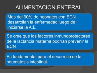 ALIMENTACION ENTERAL
Mas del 90% de neonatos con ECN
desarrollan la enfermedad luego de
iniciarse la A.E

Se cree que los factores inmunoprotectores
de la lactancia materna podrían prevenir la
ECN

Es fundamental para el desarrollo de la
neumatosis intestinal.
 