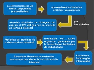 La alimentación por vía       •
   
   enteral proporciona
                                          que requieren las bacterias
                                           entéricas para producir
      (carbohidratos)



    •Grandes cantidades de hidrogeno del                      por
    cual es el 30% del gas que se acumula                     fermentación
    en la Pared intestinal




Presencia de proteínas de           Interactúan con ácidos
la dieta en el asa intestinal       orgánicos generados por
                                    la fermentación bacteriana
                                    de carbohidratos



       A través de liberación de sustancias                      Promueven
    Vasoactivas que alteran la microcirculación                  hemorragias
                      intestinal                                 intramurales
 