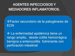 Factor secundario de la patogénesis de
ECN

 La enfermedad epidémica tiene un
rango amplio, desde colitis hemorrágica
benigna a enterocolitis fulminante con
perforación intestinal
 