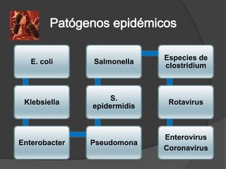 Especies de
   E. coli     Salmonella
                             clostridium



                    S.
 Klebsiella                   Rotavirus
               epidermidis



                             Enterovirus
Enterobacter   Pseudomona
                             Coronavirus
 