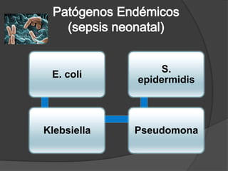 S.
 E. coli
             epidermidis



Klebsiella   Pseudomona
 