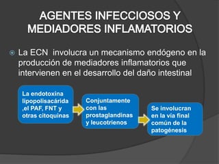    La ECN involucra un mecanismo endógeno en la
    producción de mediadores inflamatorios que
    intervienen en el desarrollo del daño intestinal

    La endotoxina
    lipopolisacárida   Conjuntamente
    ,el PAF, FNT y     con las           Se involucran
    otras citoquinas   prostaglandinas   en la vía final
                       y leucotrienos    común de la
                                         patogénesis
 