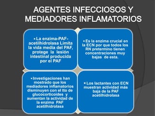 La  enzima-PAF-
                           Es la enzima crucial en
acetilhidrolasa Limita     la ECN por que todos los
la vida media del PAF,       RN pretermino tienen
  protege la lesión          concentraciones muy
 intestinal producida           bajas de esta.
      por el PAF



 Investigaciones han
    mostrado que los       Los lactantes con ECN
mediadores inflamatorios   muestran actividad más
disminuyen con el tto de       baja de la PAF
   glucocorticoides y         acetilhidrolasa
aumentan la actividad de
     la enzima PAF
     acetilhidrolasa
 