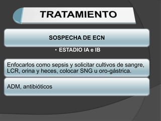 SOSPECHA DE ECN

                    • ESTADIO IA e IB

Enfocarlos como sepsis y solicitar cultivos de sangre,
LCR, orina y heces, colocar SNG u oro-gástrica.

ADM, antibióticos
 