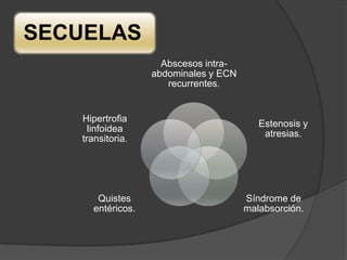 SECUELAS
                    Abscesos intra-
                  abdominales y ECN
                     recurrentes.


   Hipertrofia
                                         Estenosis y
     linfoidea
                                          atresias.
   transitoria.




      Quistes                         Síndrome de
     entéricos.                       malabsorción.
 