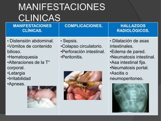 MANIFESTACIONES
     CLINICAS
  MANIFESTACIONES           COMPLICACIONES.              HALLAZGOS
     CLÍNICAS.                                          RADIOLÓGICOS.

• Distensión abdominal.   • Sepsis.                  • Dilatación de asas
•Vómitos de contenido     •Colapso circulatorio.     intestinales.
bilioso.                  •Perforación intestinal.   •Edema de pared.
•Hematoquesia             •Peritonitis.              •Neumatosis intestinal.
•Alteraciones de la T°                               •Asa intestinal fija.
corporal.                                            •Neumatosis portal.
•Letargia                                            •Ascitis o
•Irritabilidad                                       neumoperitoneo.
•Apneas.
 