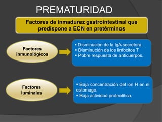 PREMATURIDAD
    Factores de inmadurez gastrointestinal que
        predispone a ECN en pretérminos

                       Disminución de la IgA secretora.
   Factores            Disminución de los linfocitos T
inmunológicos          Pobre respuesta de anticuerpos.




                       Baja concentración del ion H en el
   Factores
                      estomago.
  luminales
                       Baja actividad proteolítica.
 