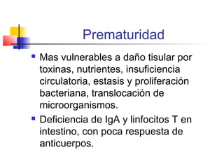 Prematuridad
 Mas vulnerables a daño tisular por
toxinas, nutrientes, insuficiencia
circulatoria, estasis y proliferación
bacteriana, translocación de
microorganismos.
 Deficiencia de IgA y linfocitos T en
intestino, con poca respuesta de
anticuerpos.
 
