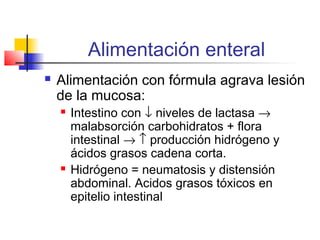 Alimentación enteral
 Alimentación con fórmula agrava lesión
de la mucosa:
 Intestino con ↓ niveles de lactasa →
malabsorción carbohidratos + flora
intestinal → ↑ producción hidrógeno y
ácidos grasos cadena corta.
 Hidrógeno = neumatosis y distensión
abdominal. Acidos grasos tóxicos en
epitelio intestinal
 