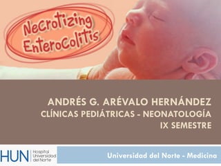 ANDRÉS G. ARÉVALO HERNÁNDEZ
CLÍNICAS PEDIÁTRICAS - NEONATOLOGÍA
                          IX SEMESTRE


              Universidad del Norte - Medicina
 