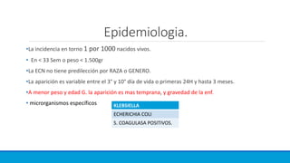 Epidemiologia.
•La incidencia en torno 1 por 1000 nacidos vivos.
• En < 33 Sem o peso < 1.500gr
•La ECN no tiene predilección por RAZA o GENERO.
•La aparición es variable entre el 3° y 10° día de vida o primeras 24H y hasta 3 meses.
•A menor peso y edad G. la aparición es mas temprana, y gravedad de la enf.
• microrganismos específicos KLEBSIELLA
ECHERICHIA COLI
S. COAGULASA POSITIVOS.
 