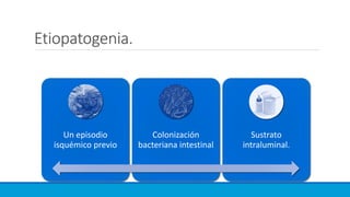 Etiopatogenia.
Un episodio
isquémico previo
Colonización
bacteriana intestinal
Sustrato
intraluminal.
 